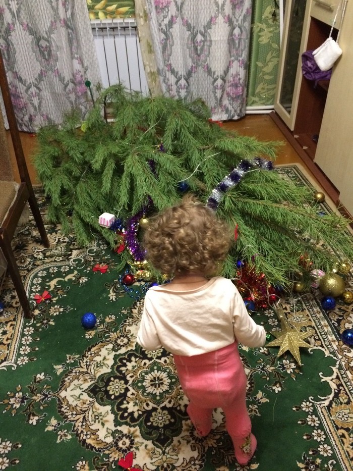 Spruce zavalun. - My, New Year, Christmas trees, Children's happiness, Longpost