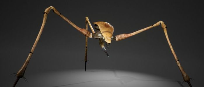 The first screenshots of the fan-made Half-Life 3 showed a 3D model of a strider - Half-life 3, Fans, , Computer games, Development of, Gamers, Longpost