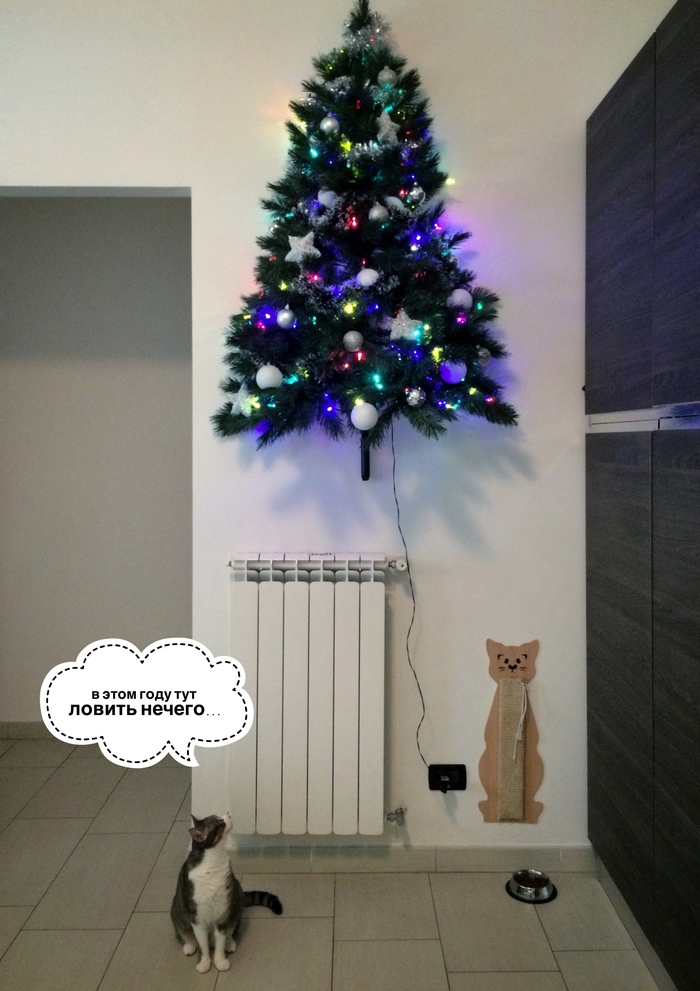 Christmas tree system antikot - New Year, cat, Christmas trees, My