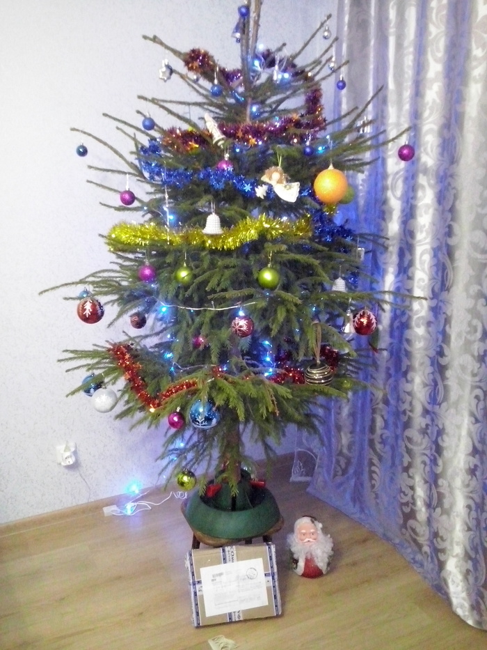 Answer from Omsk. - My, Gift exchange, Secret Santa, Longpost, cat