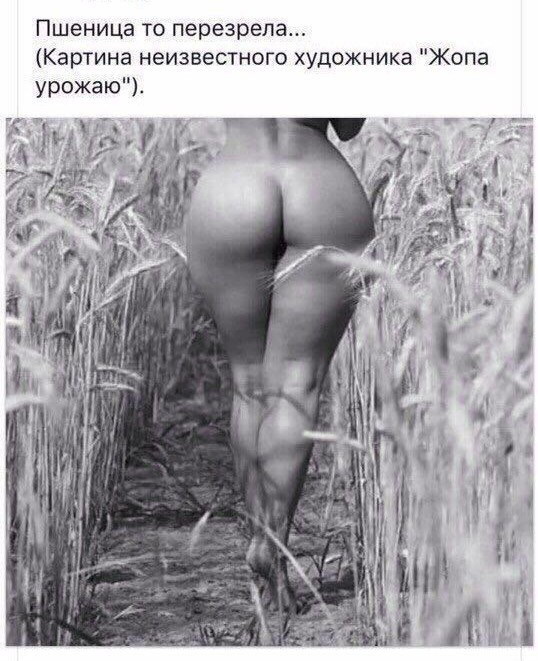 Briefly about the harvest this year! - NSFW, Harvest, Girls, Russia, Field, The photo