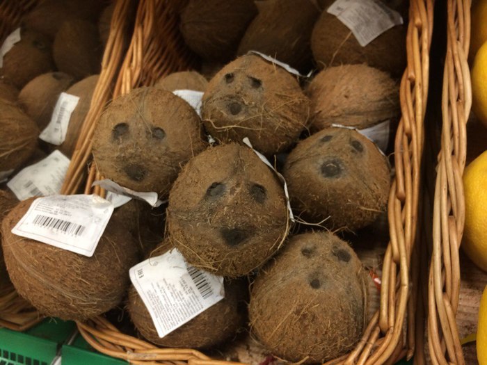 It turns out that coconuts also have emotions :) - Supermarket, My, Longpost, Cocaine, Emotions