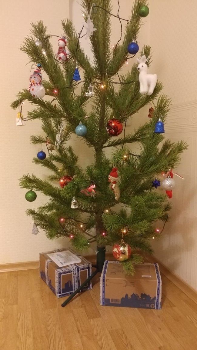 ����� ��������� 2017 � �������� ����