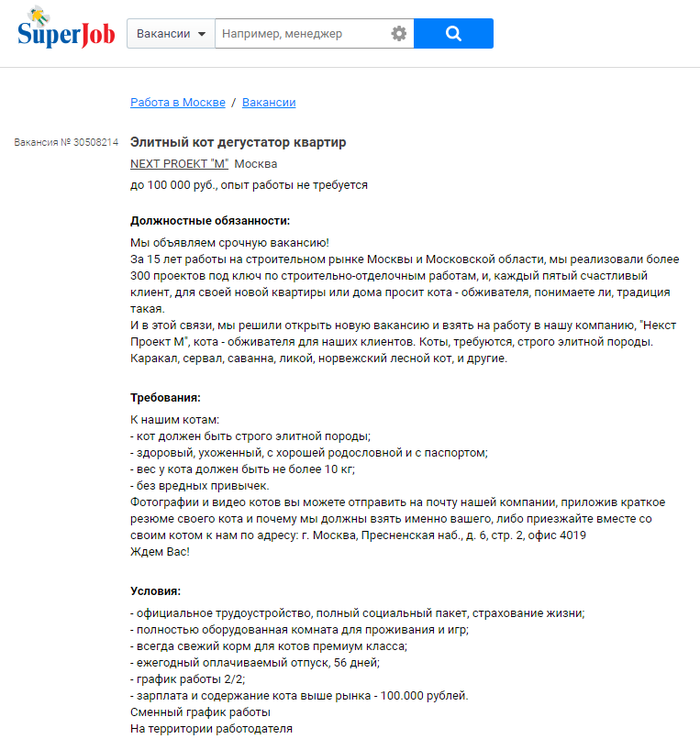 Даже кот может найти работу с нормальной з.п.