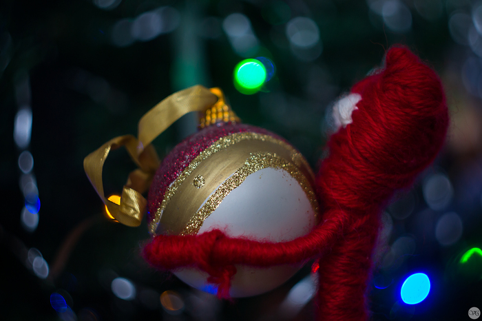 Yarni and New Year! - My, New Year, Christmas trees, Unravel, The photo, Beginning photographer, Longpost