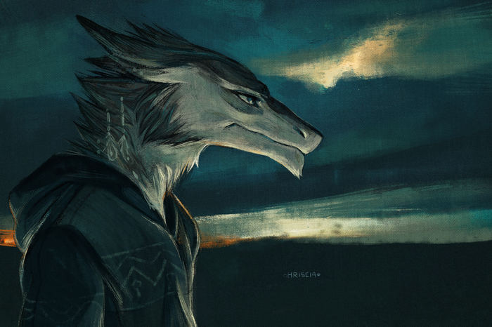 Storm - Hriscia, Furry, Art, Sergal