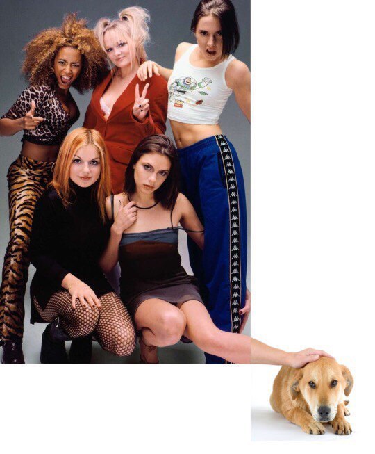 Spice girls and nice boys - Spice Girls, Dog, The photo