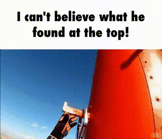 I can't believe what he found at the top! - Sticky, sticky GIF, GIF