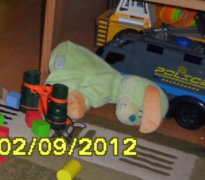 The child has lost a toy (a plush dog in the photo). - My, New Year, Toys, Family, Children, A son, The strength of the Peekaboo, Longpost