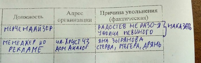 Будни HR - Моё, Работа, Отдел кадров, Анкета, Мерчендайзинг