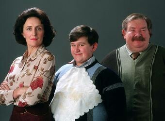 Inadequate Dursleys - Dursley, Cinema, Story