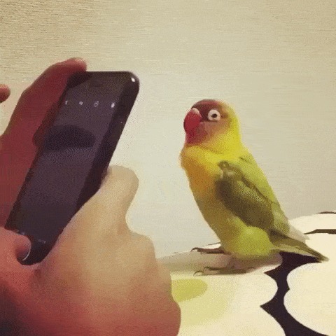 Работа фотомодели