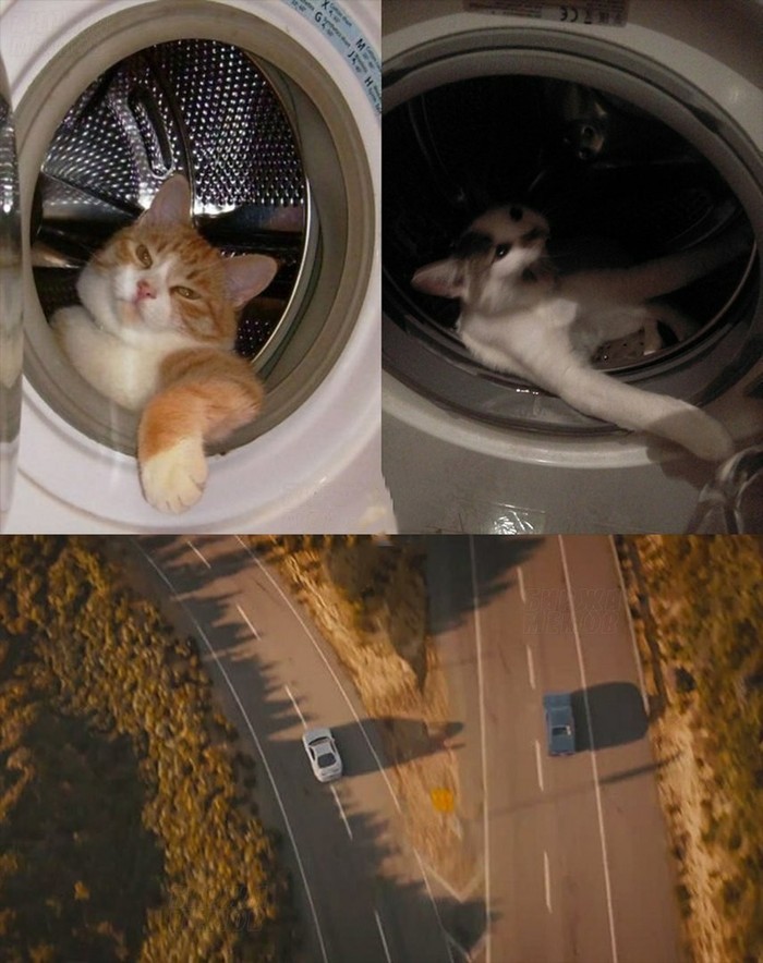 See you again - The fast and the furious, cat, Washing machine, Milota, In contact with, Parody