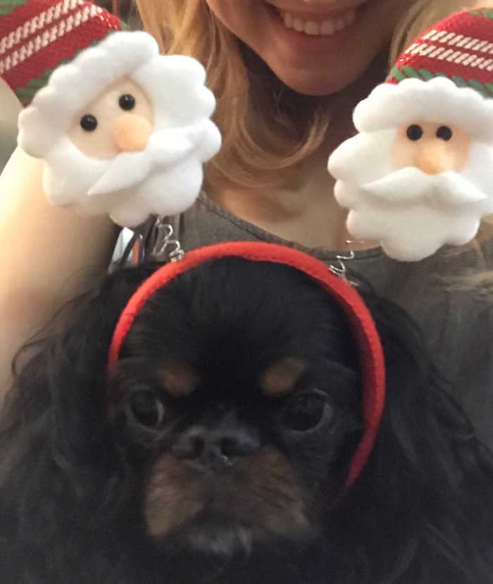 А у нас свой символ года) только какой-то недовольный жуть)