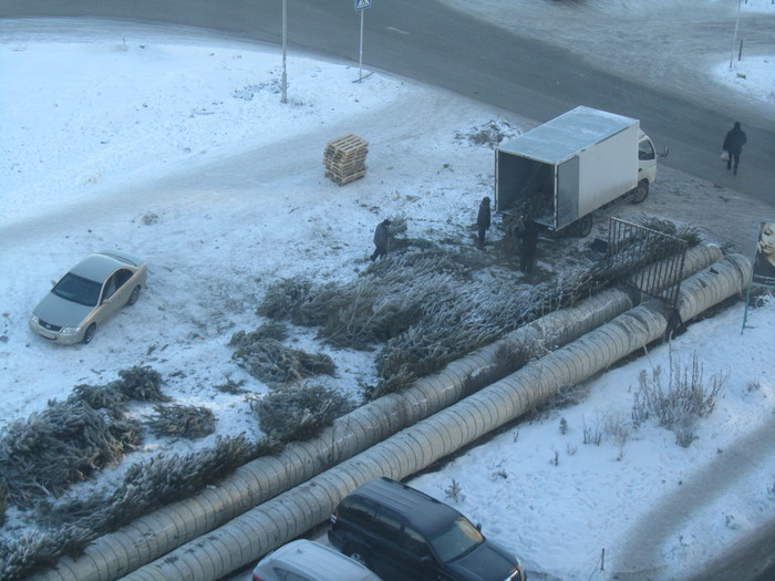 Not everything is so sad in Omsk - My, New Year, Omsk, Christmas trees, , Cleaning