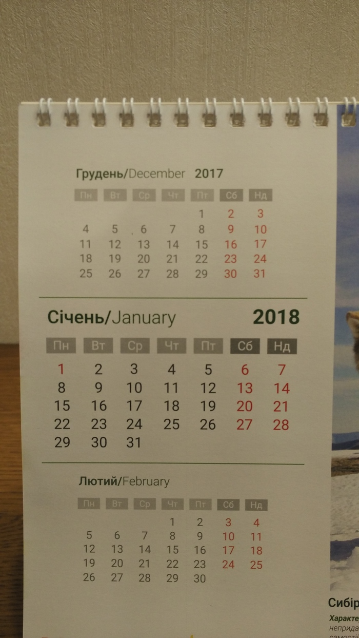 When you're not sure about February - My, The calendar, Rukozhop, February, Longpost