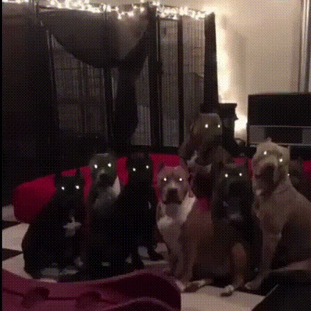   -,         .