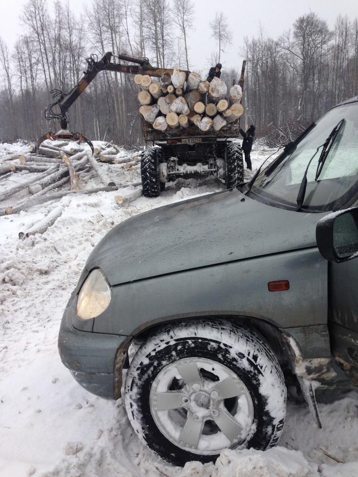 Photo from a logging site. - Forest, Work, My