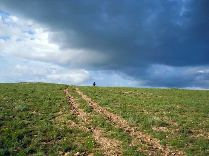 Neighborhood of Olovyannaya station, Daurskaya Sopka, Trans-Baikal Territory - My, , Nature, Hike, Longpost