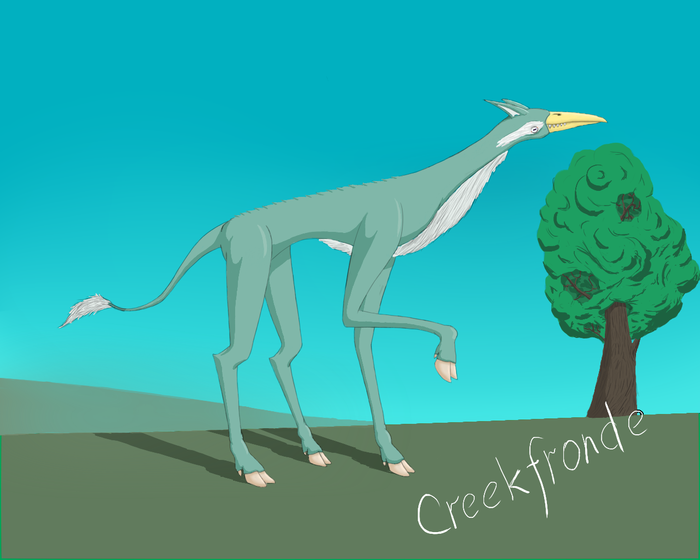 Новая программа, новые возможности