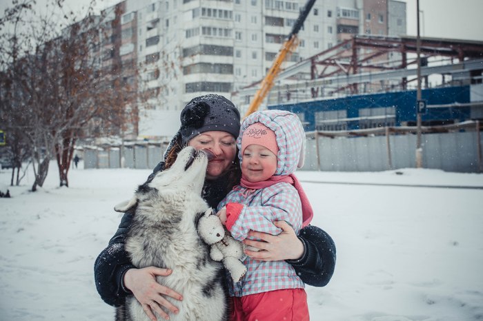 Charity photo session to help homeless animals #3 - Longpost, Dog, Dogs and people, The photo, PHOTOSESSION, Charity, My, Bratsk, For subscribers