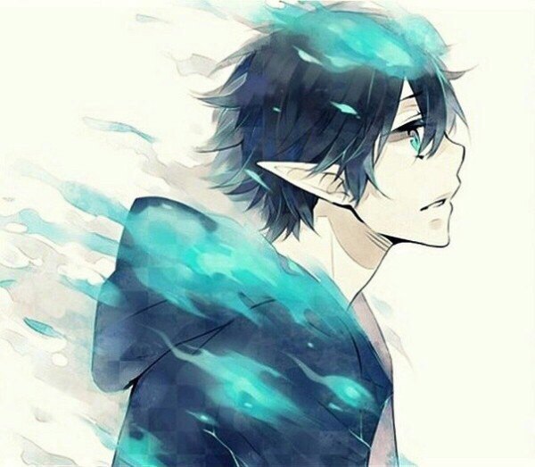 A little bit of Blue Exorcist in your feed ;3 - Anime art, Anime, Rin Okumura, Yukio Okumura, Ao No Exorcist, Longpost