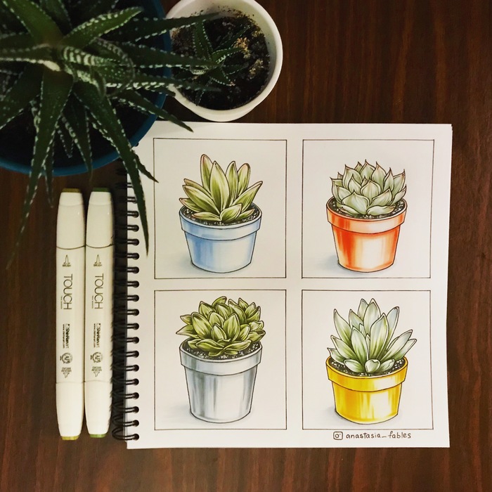 I draw succulents - My, Drawing, Succulents, Marker, Illustrations