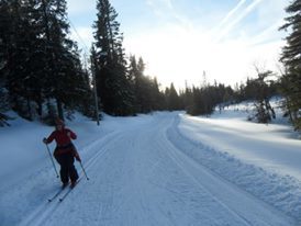 Travel to Norway or it happened because Common Sense left for lunch. - My, Skis, Scouts, Youth, Longpost, Norway, , Yurt