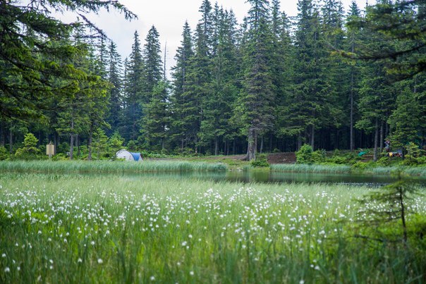 How we biked the Montenegrin ridge - My, Carpathians, Hoverla, A bike, Bike trip, , Dragobrat, White Elephant, , Longpost, Cross Country