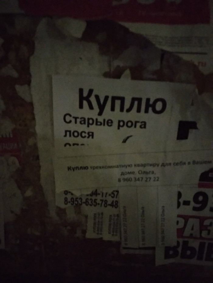 ���� ����������, � ������� ��������.