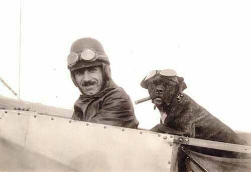 Aviator and his fighting dog. - France, Aviator, Dog, 1920