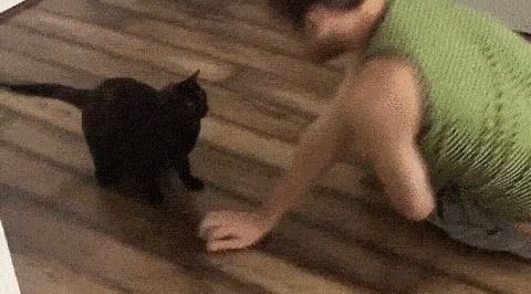 Котэ подражатель