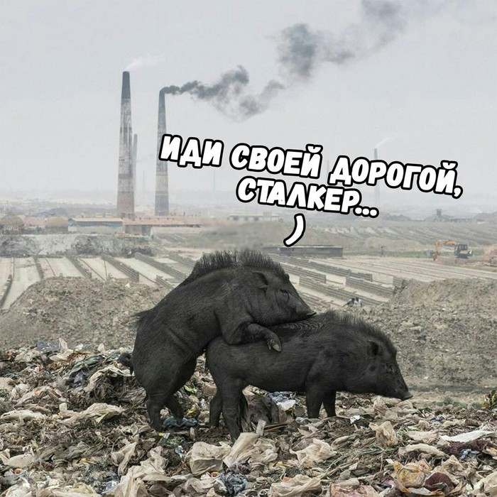 Сталкер