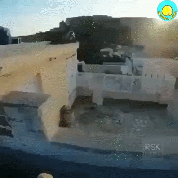  *!