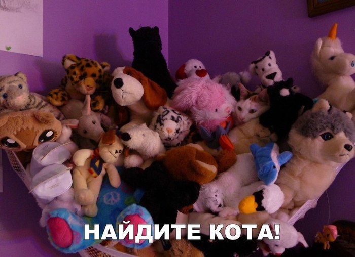 ������ ���� ������� !