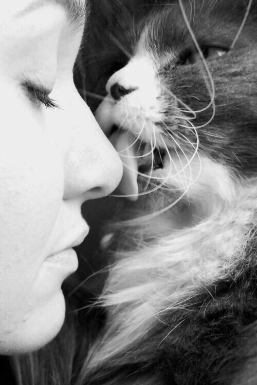 Love - cat, Reciprocity