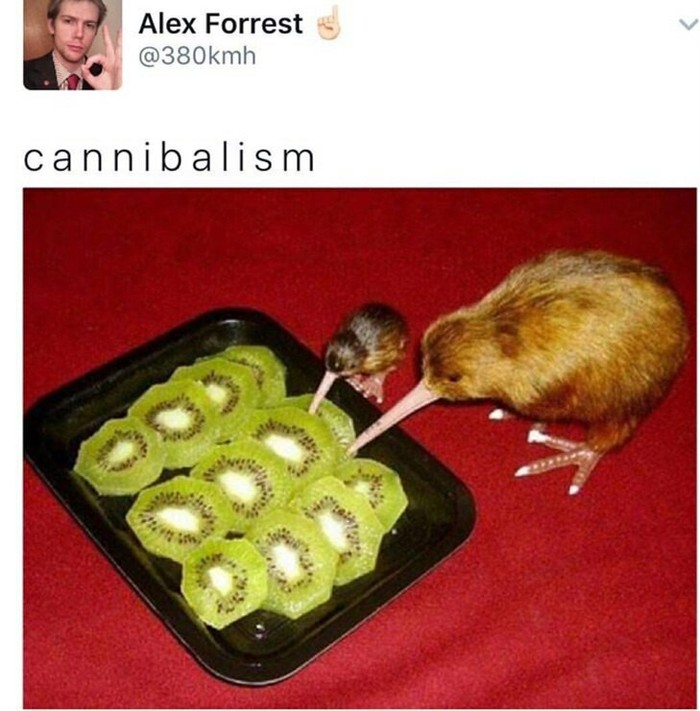 Cannibalism - Memes, Humor, Laugh, Comments, Cannibalism