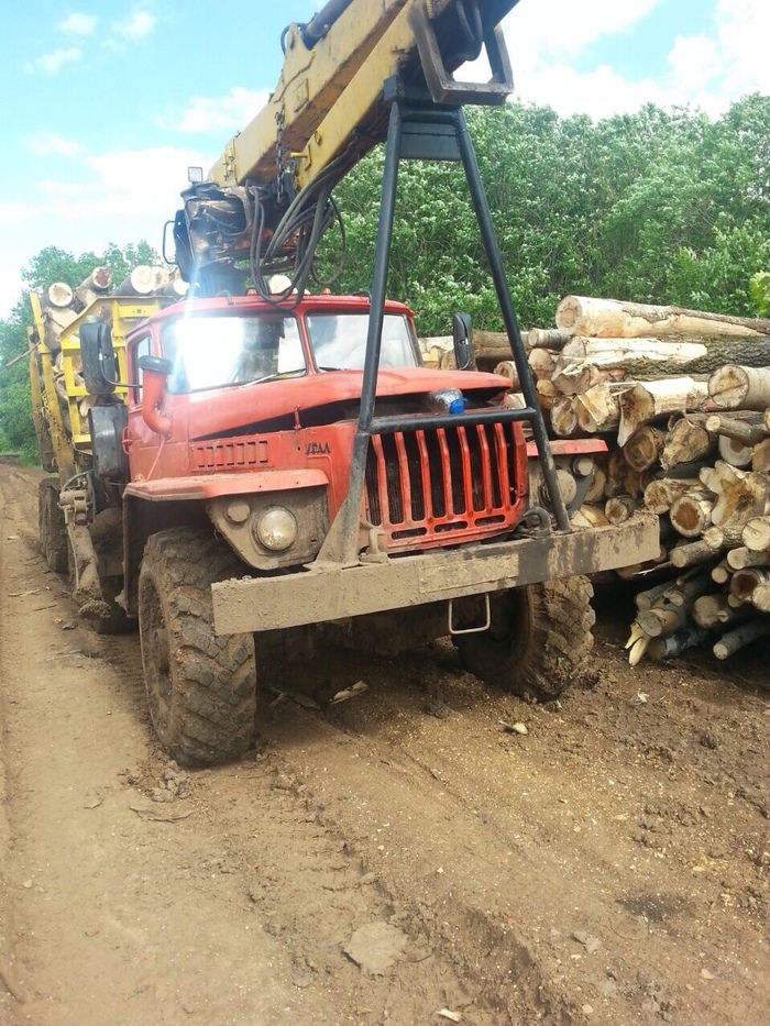 Faithful friend in the forest - Forest, My, Technics, Adventures, Work