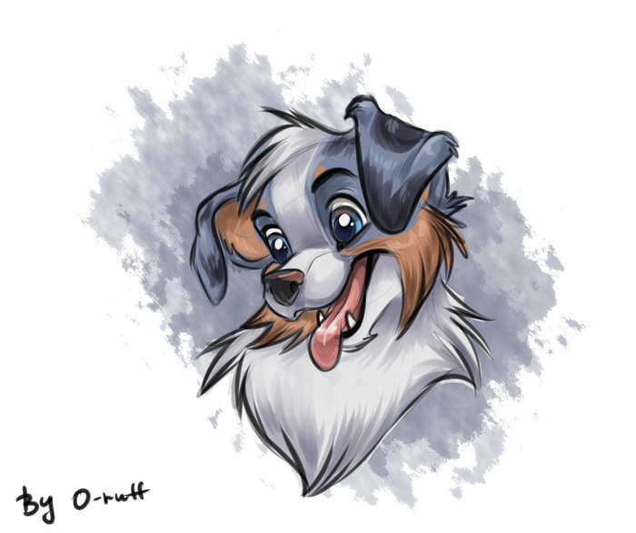 I drew Flex - Australian shepherd, Dog, Aussi