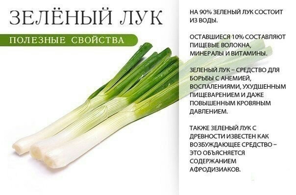 Полезные свойства зелени - Полезное, Продукты, Длиннопост