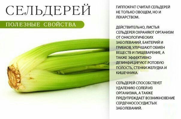 Полезные свойства зелени - Полезное, Продукты, Длиннопост