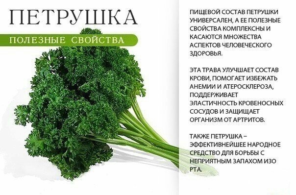 Полезные свойства зелени - Полезное, Продукты, Длиннопост