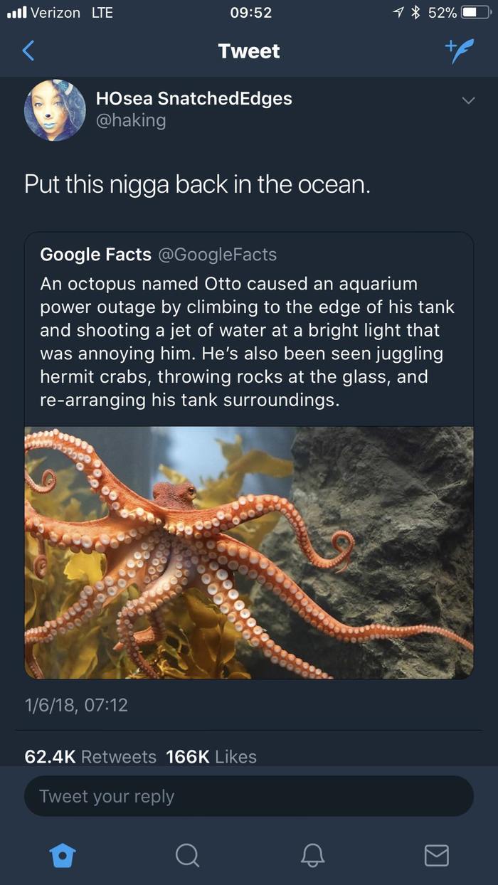 Free Otto! - Octopus, Aquarium, Prank, Prankster, Non-freedom