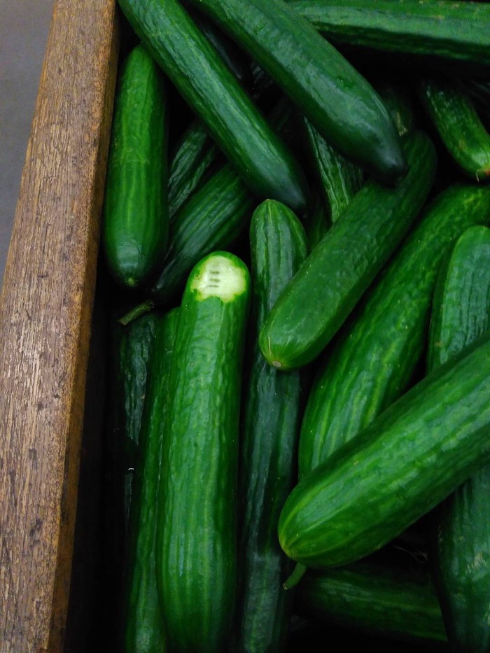 Когда голод застал врасплох | Пикабу