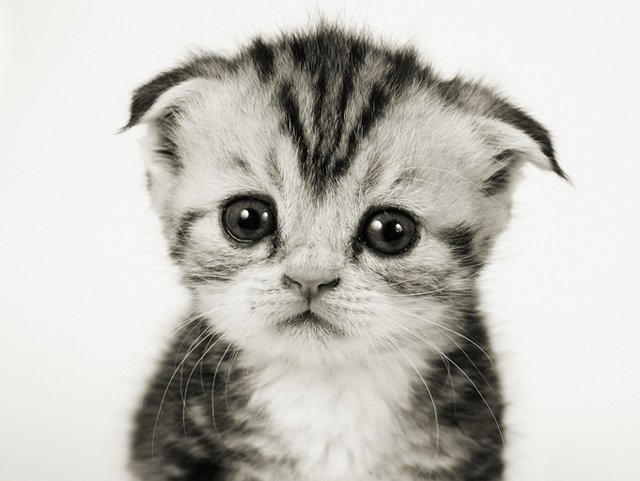 Одинокого человека пост