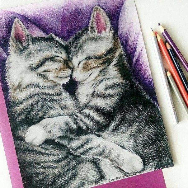 Милашество в красках