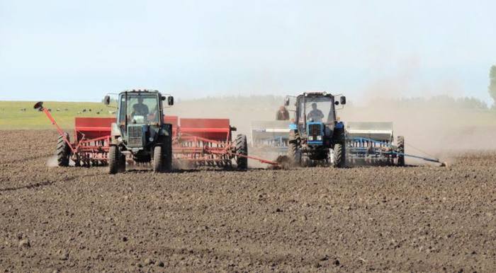 How will collective farms sow 1600 hectares of former radiation lands? - Agronews, Radiation, Chernobyl, Land, sowing, Republic of Belarus, Collective farm, Longpost