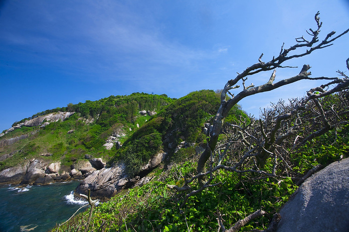 Dangerous places on earth - Around the world, Dangerous places, Snake Island, Snake, Brazil, Queimada Grandi, Longpost