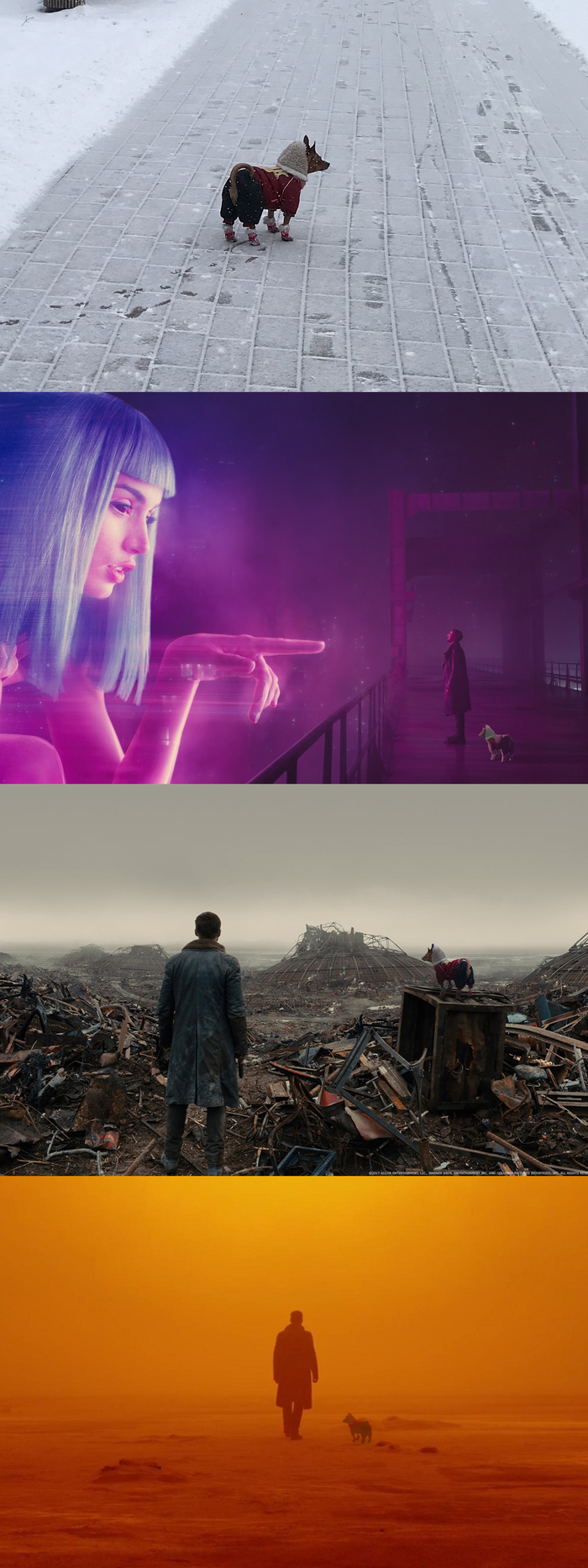 Blade Runner 2049 - cut scenes - My, Blade runner, Blade Runner 2049, Dog, Fotozhaba, Creative, Longpost