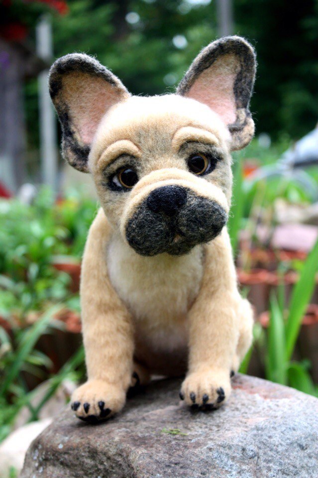 French bulldog Oscar, wool toy - My, Needlework without process, With your own hands, Needlework, Wool toy, French Bulldog, Dog, Creation, Hobby, Longpost